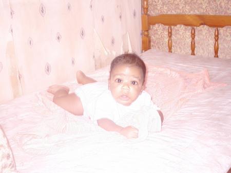 noah